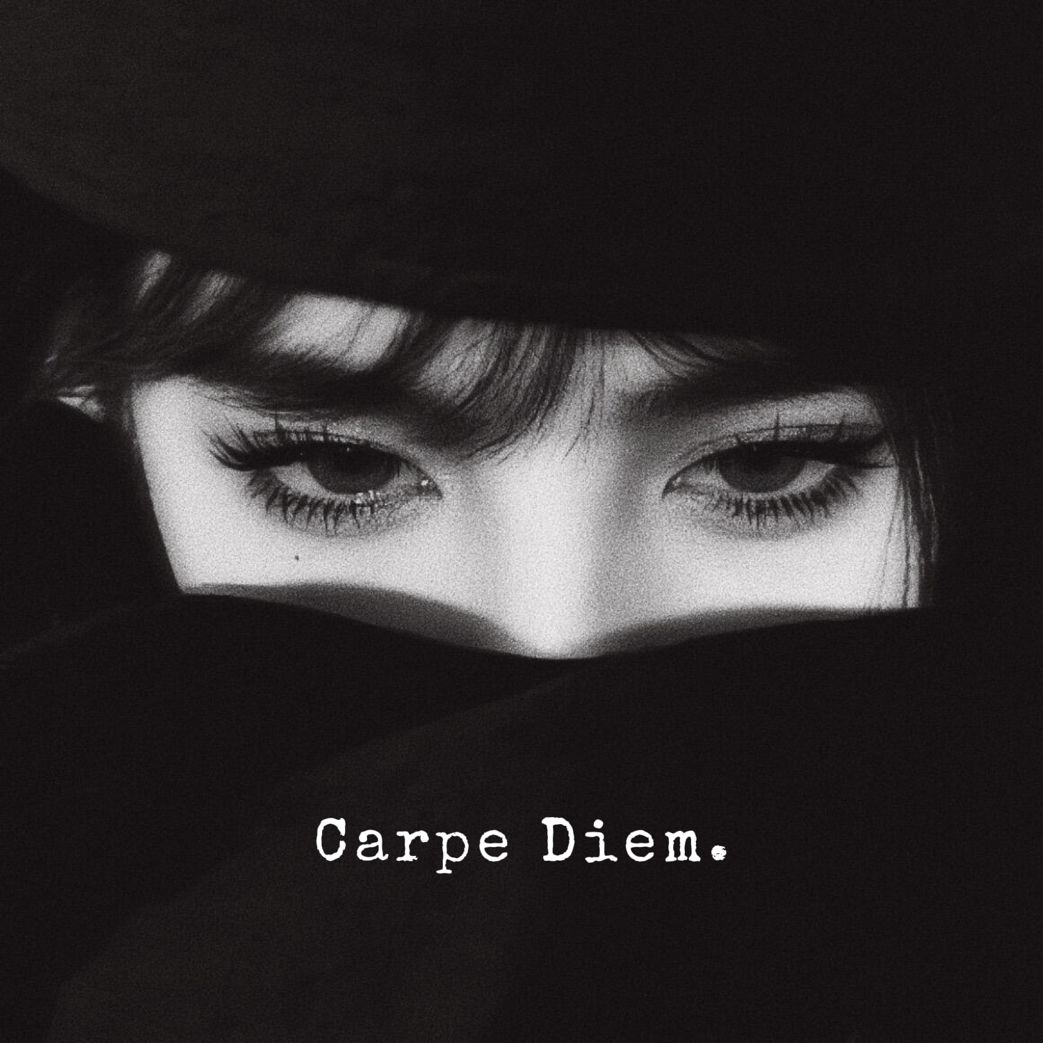 每个眼神都只身荒野