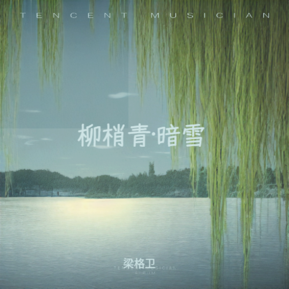 柳梢青·暗雪