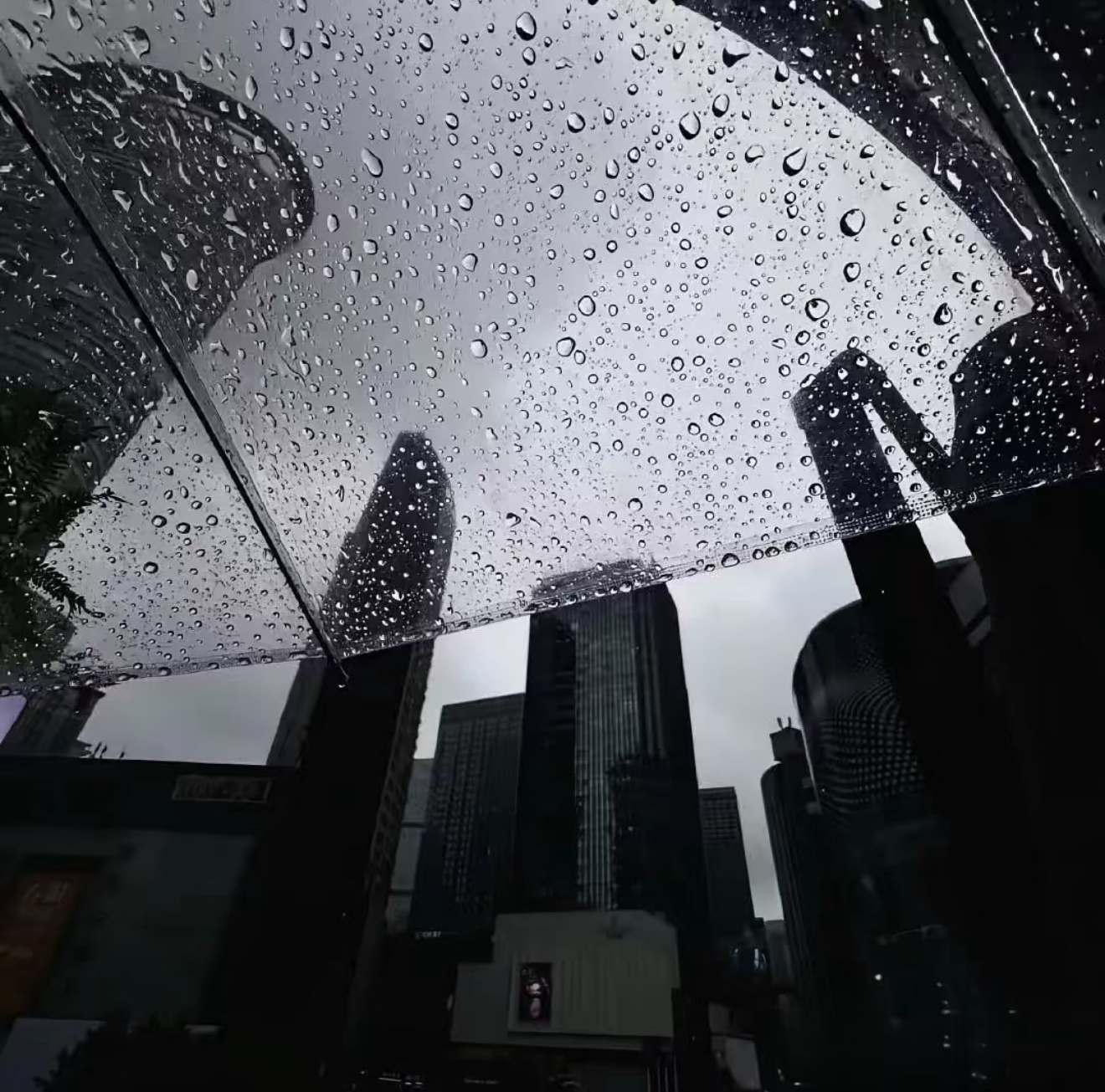 零碎的记忆模糊的你