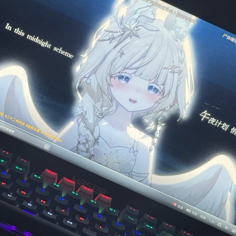 拢稀泥