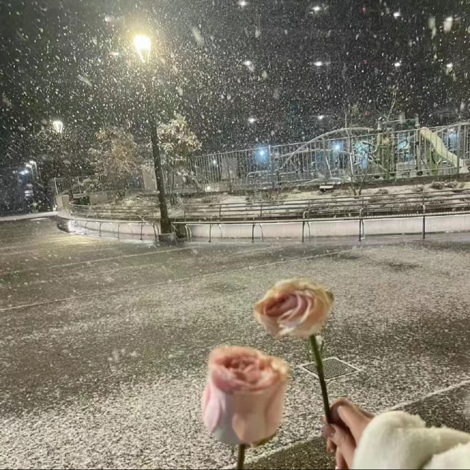 再等冬天