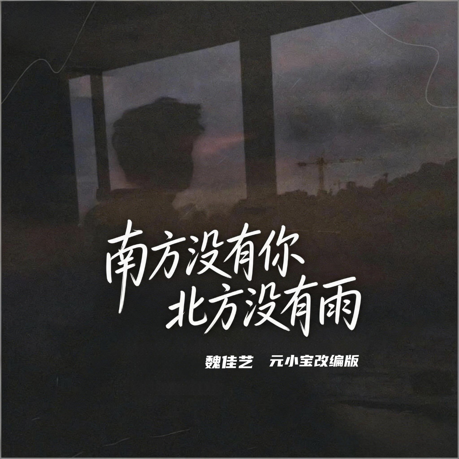 南方没有你北方没有雨